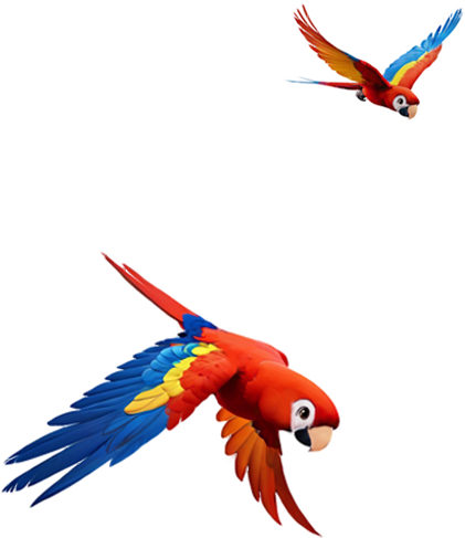 Wings of Iguazu